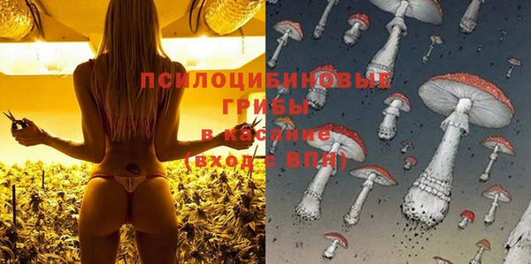 спиды Арсеньев
