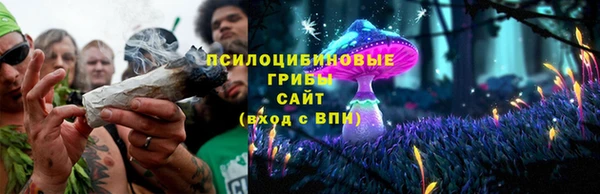 спиды Арсеньев